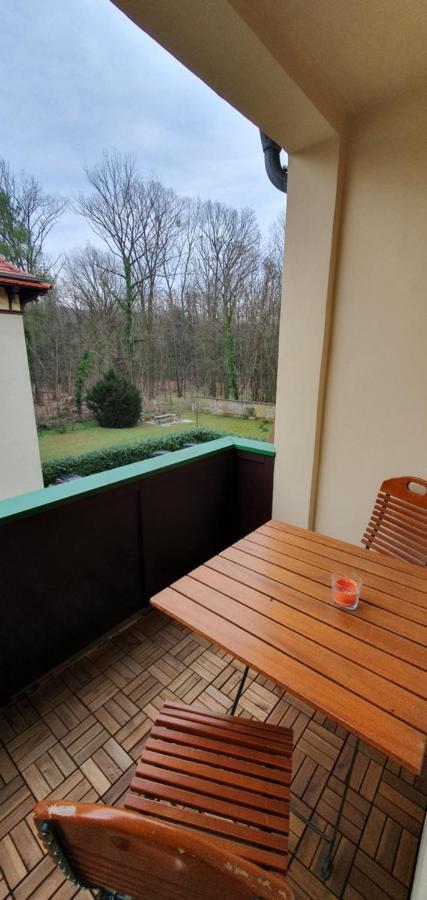 Maisonettewohnung In Elbnaehe Dresden Dış mekan fotoğraf